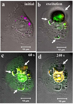 https://www.phys.sinica.edu.tw/files/news_441_1298948104.jpg