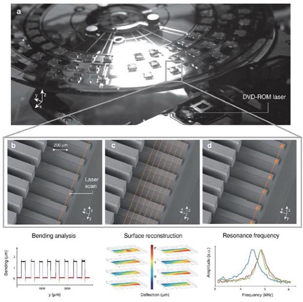 https://www.phys.sinica.edu.tw/files/news_521_1315186133.JPG