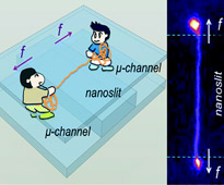 https://www.phys.sinica.edu.tw/files/news_569_1330487050.jpg