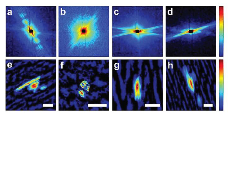 https://www.phys.sinica.edu.tw/files/pic20180223095424am_pic20180117122347pm_2.png