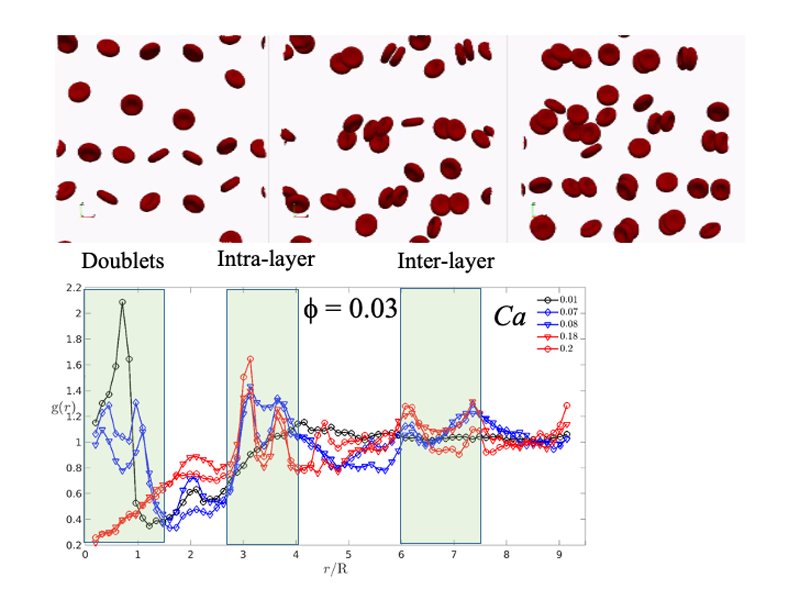 https://www.phys.sinica.edu.tw/files/pic20221011013351pm_image_4X3.png