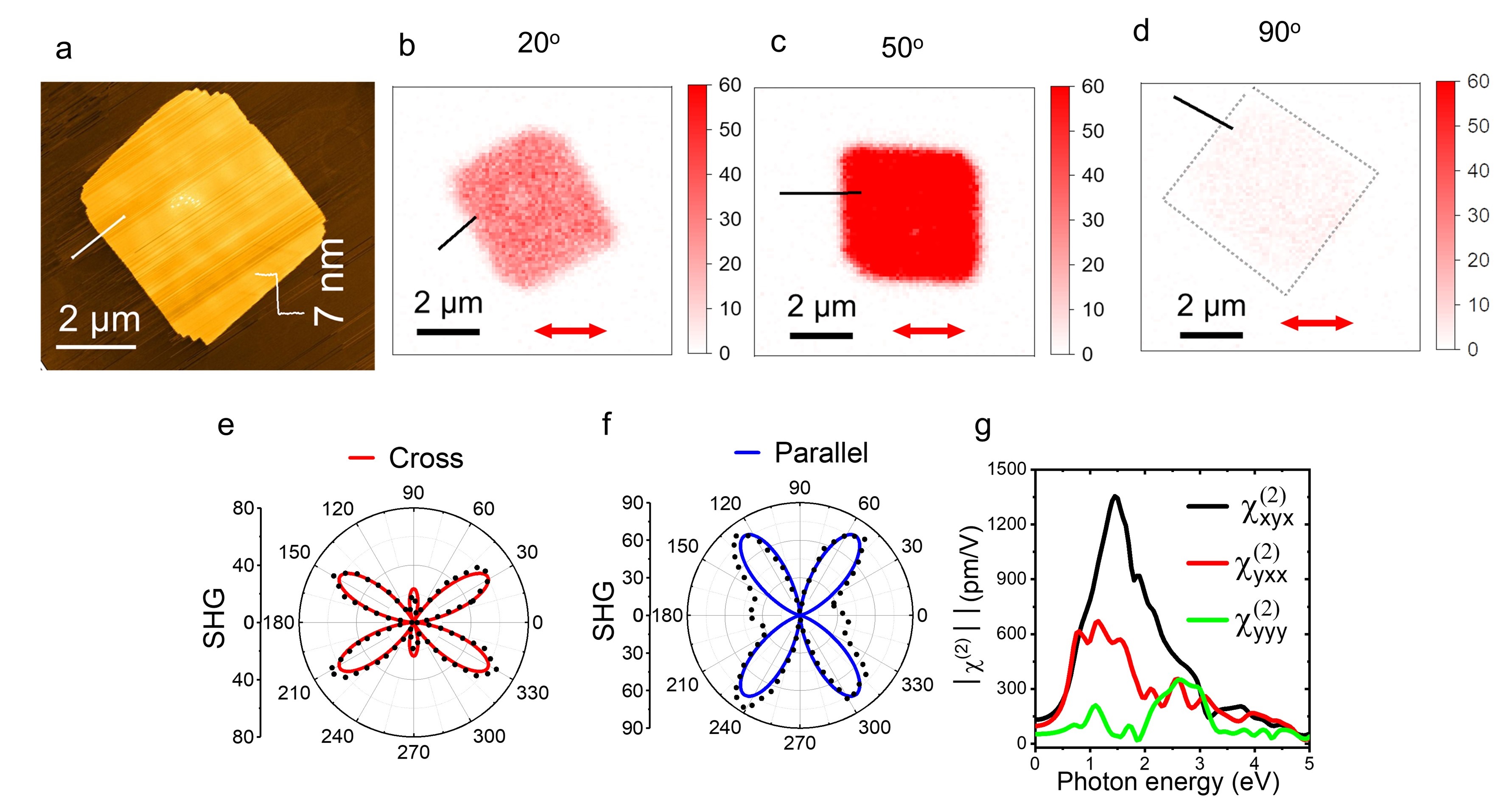 https://www.phys.sinica.edu.tw/files/pic20240424022946pm_highlight.jpg