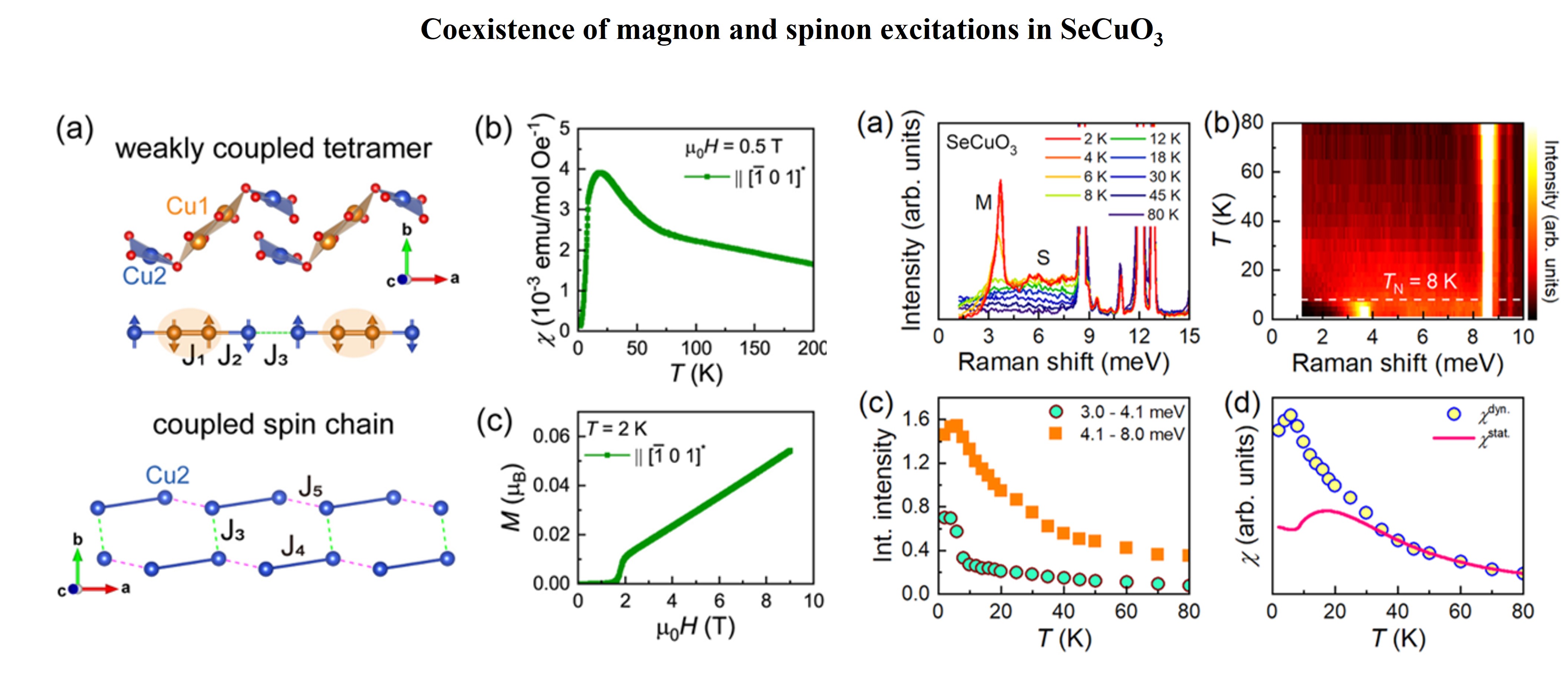 https://www.phys.sinica.edu.tw/files/pic20260812042228pm_SeCuO3.jpg