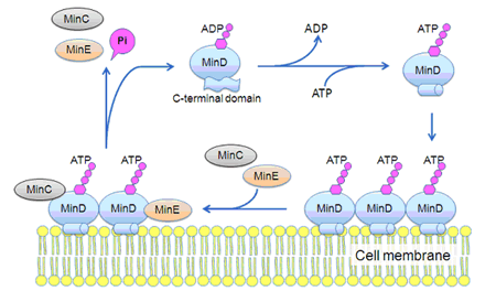 Figure4