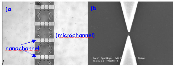 Figure3