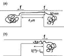 Figure1