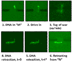 Figure2