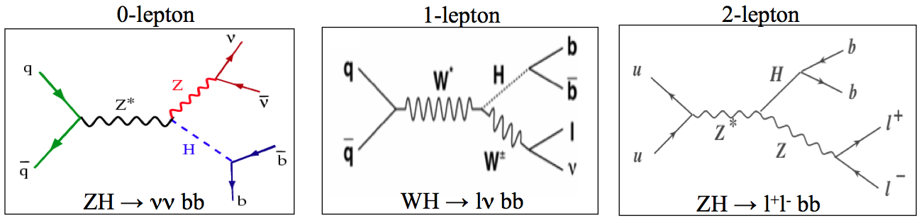 WHZH
        Introduction