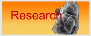 logo-Research